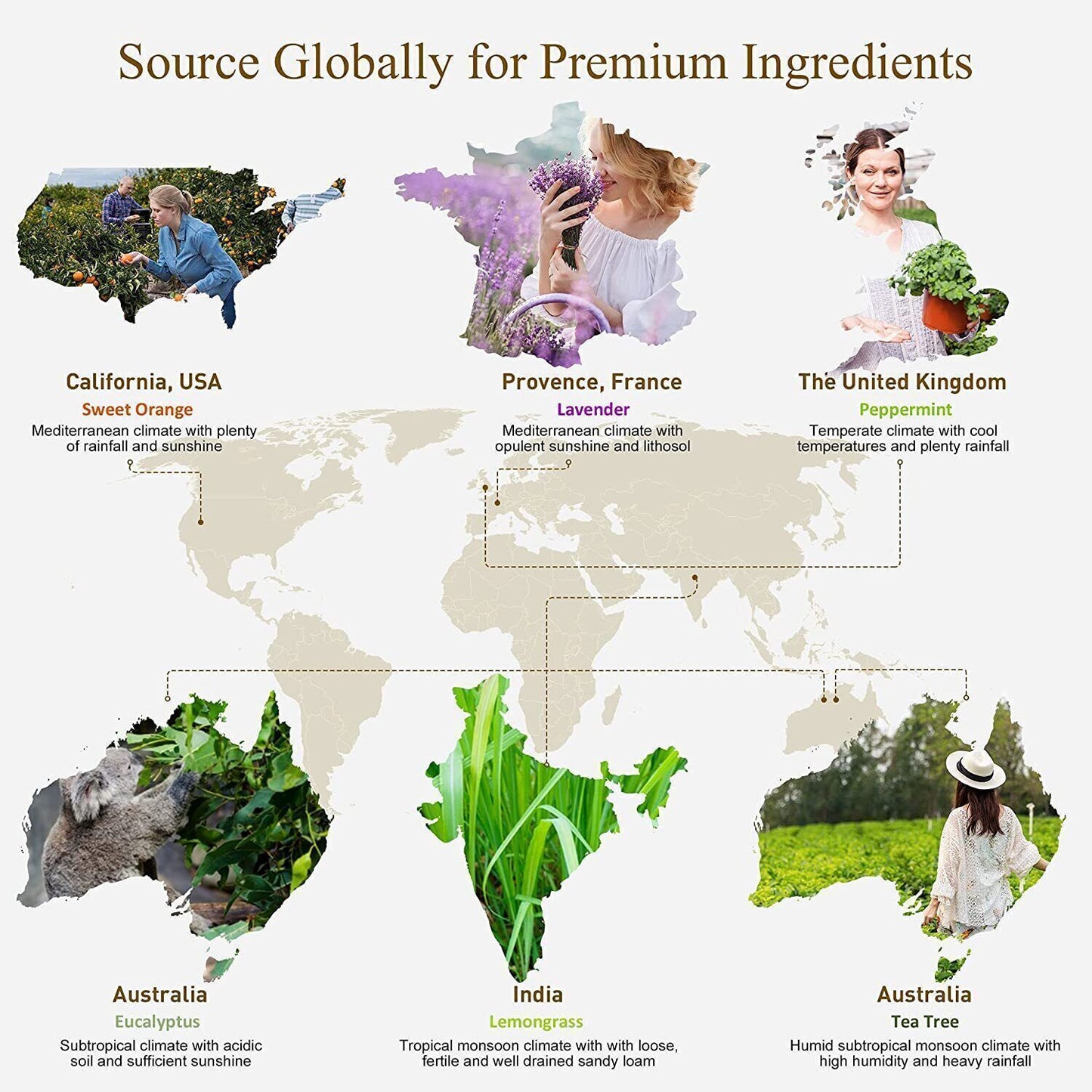 10ML 30ML 100ML Essential Oil 100% Pure and Natural Aromatherapy Diffuser Oils