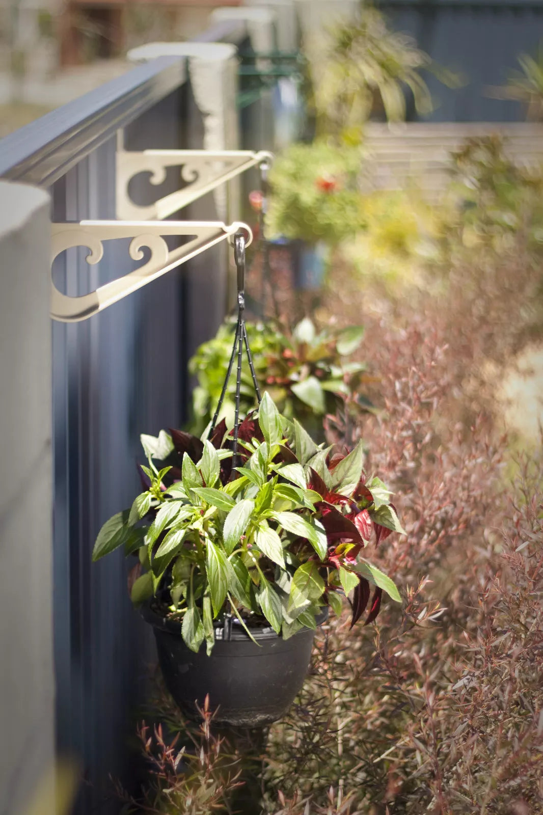 Fence Hooks for Colorbond Fencing